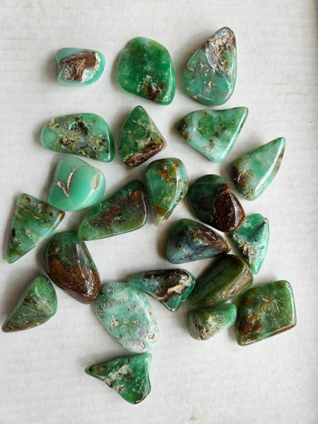 Tumble Polished Chrysoprase CHT167