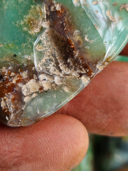 Tumble Polished Chrysoprase CHT167