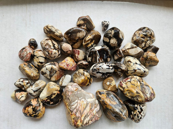 1 kg. Tumble polished Peanut Wood PWT123