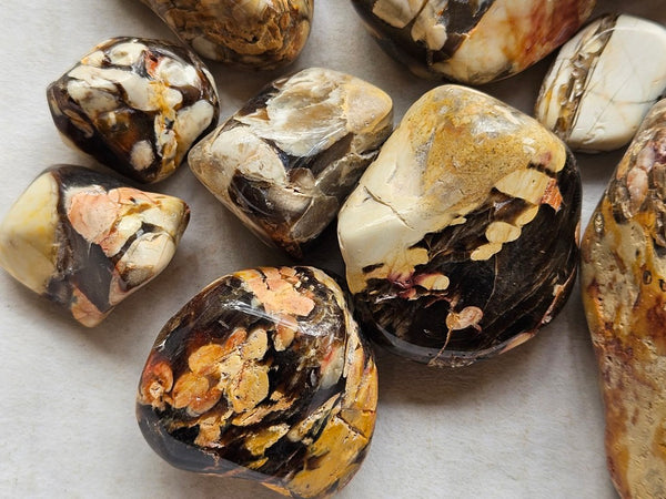 1 kg. Tumble polished Peanut Wood PWT123