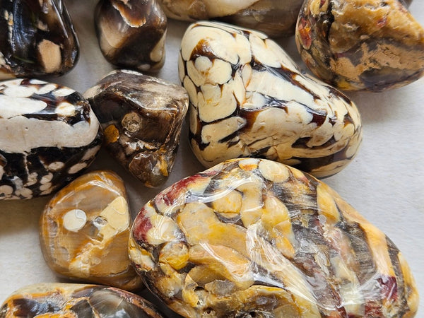 1 kg. Tumble polished Peanut Wood PWT123
