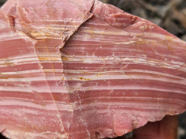 Rough  Pink Opal POR181
