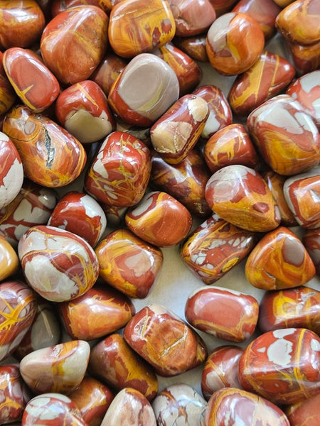4 Kg. Tumble Polished Noreena Jasper NJT134