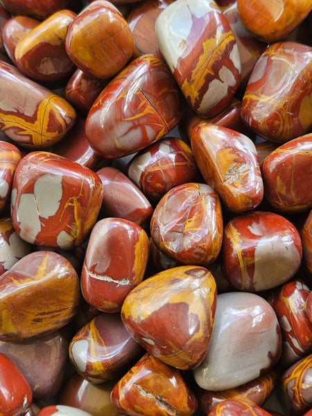 4 Kg. Tumble Polished Noreena Jasper NJT134