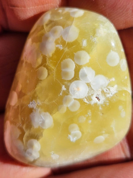 1 kg. Tumble Polished Prehnite PRT118