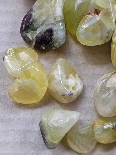 Tumble Polished Prehnite PRT119