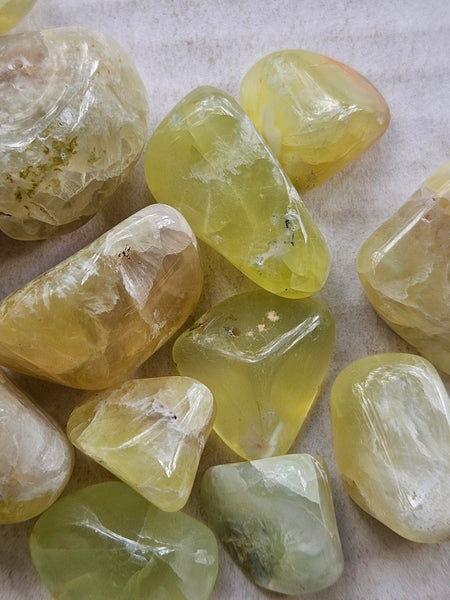 Tumble Polished Prehnite PRT119