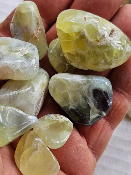 Tumble Polished Prehnite PRT119