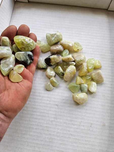 Tumble Polished Prehnite PRT119