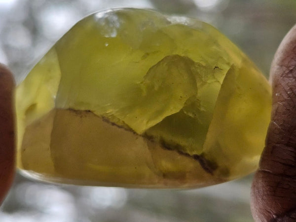 Tumble Polished Prehnite PRT119