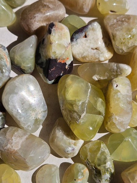 Tumble Polished Prehnite PRT119
