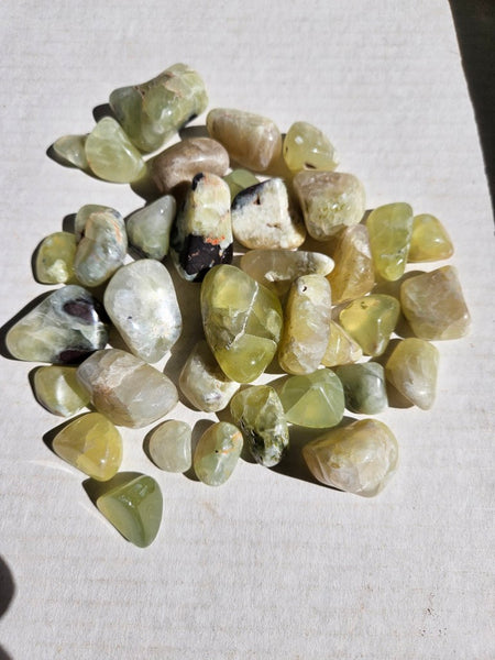 Tumble Polished Prehnite PRT119