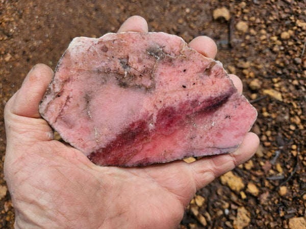 Polished Rhodonite slab RH298