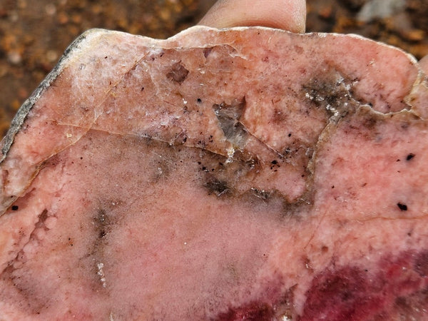 Polished Rhodonite slab RH298