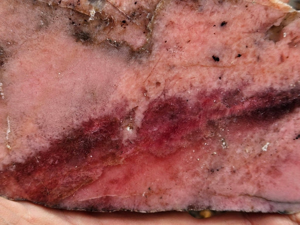Polished Rhodonite slab RH298