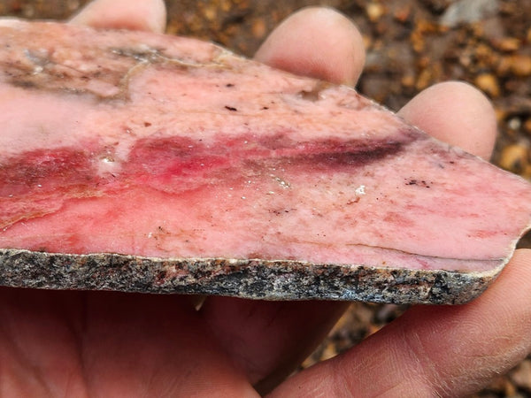 Polished Rhodonite slab RH298