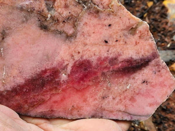 Polished Rhodonite slab RH298
