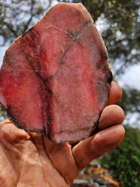 Polished Rhodonite slab RH301