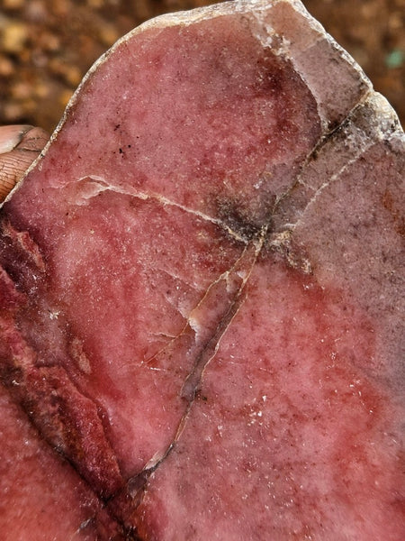 Polished Rhodonite slab RH301