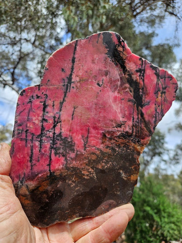 Polished Rhodonite slab RH296