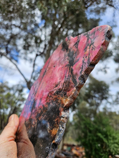 Polished Rhodonite slab RH296