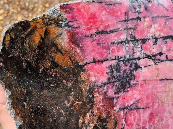 Polished Rhodonite slab RH296