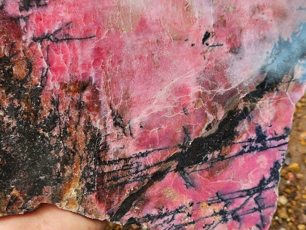 Polished Rhodonite slab RH296