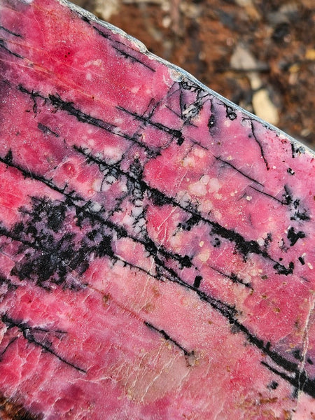 Polished Rhodonite slab RH296