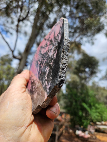 Polished Rhodonite slab RH299