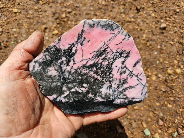 Polished Rhodonite slab RH299