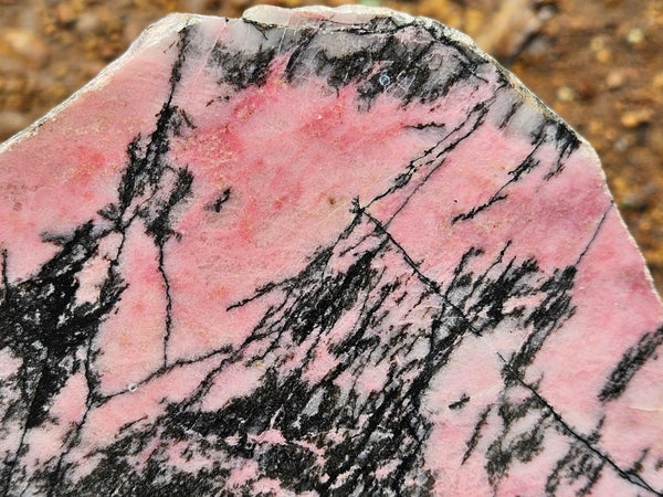 Polished Rhodonite slab RH299