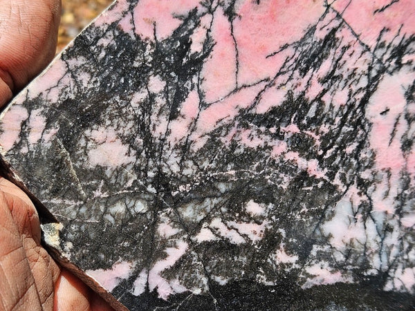 Polished Rhodonite slab RH299