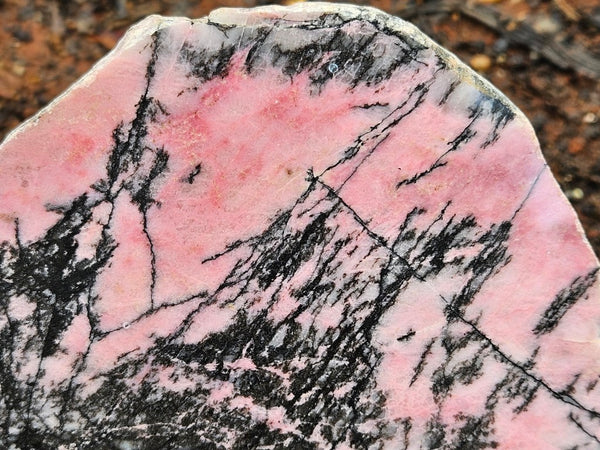 Polished Rhodonite slab RH299