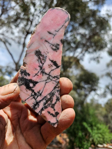 Polished Rhodonite slab RH300