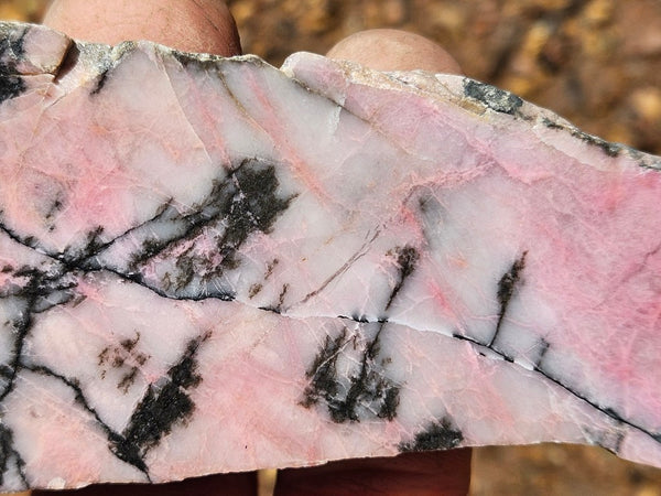 Polished Rhodonite slab RH300