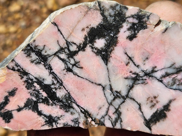 Polished Rhodonite slab RH300