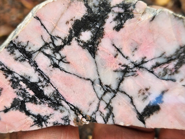 Polished Rhodonite slab RH300
