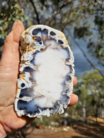 Polished Dendritic Opal DO232