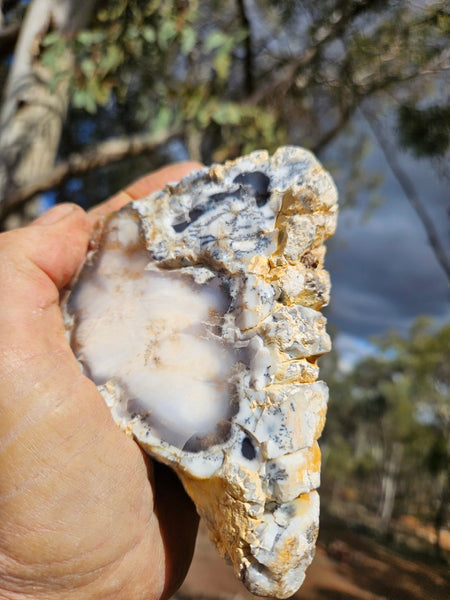 Polished Dendritic Opal DO232