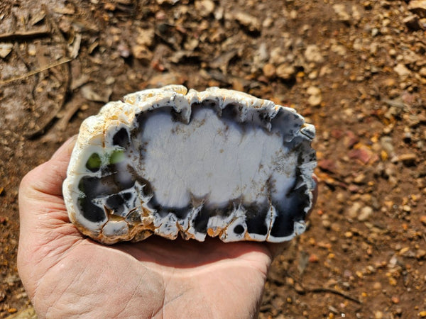 Polished Dendritic Opal DO232