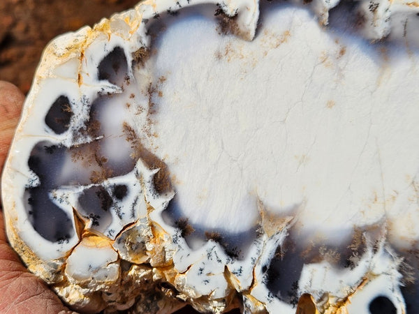 Polished Dendritic Opal DO232