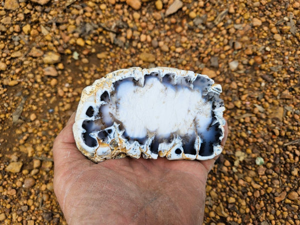 Polished Dendritic Opal DO232