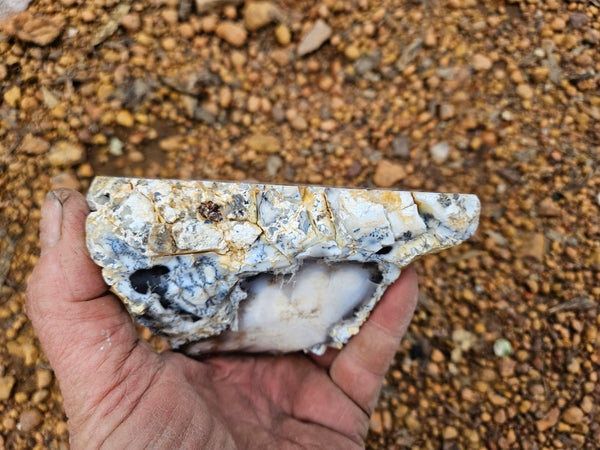 Polished Dendritic Opal DO232