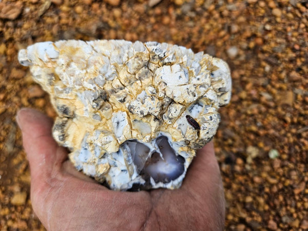Polished Dendritic Opal DO232