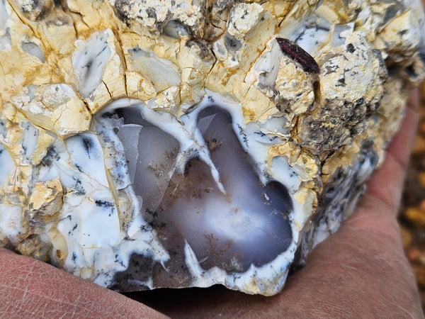 Polished Dendritic Opal DO232