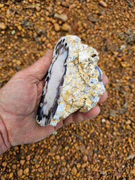 Polished Dendritic Opal DO232
