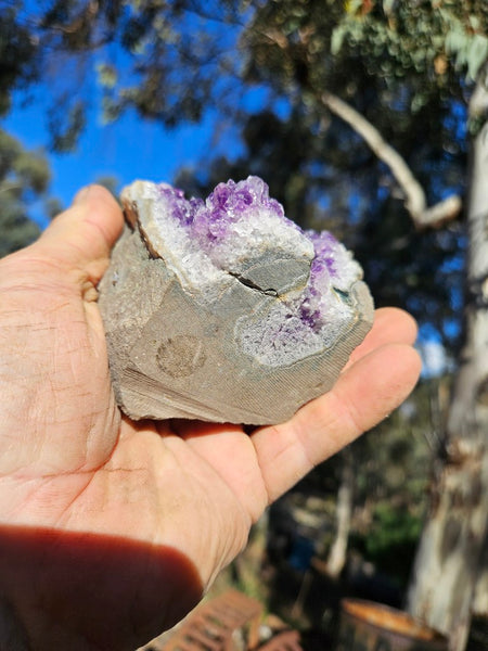Amethyst - Uruguay  AMU109