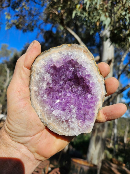 Amethyst geode,  Uruguay AMU111