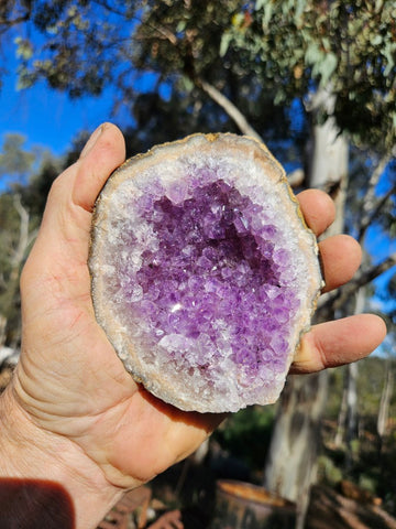 Amethyst geode,  Uruguay AMU111