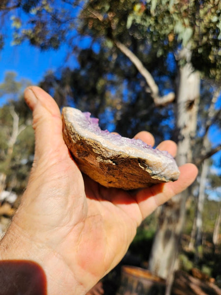 Amethyst geode,  Uruguay AMU111